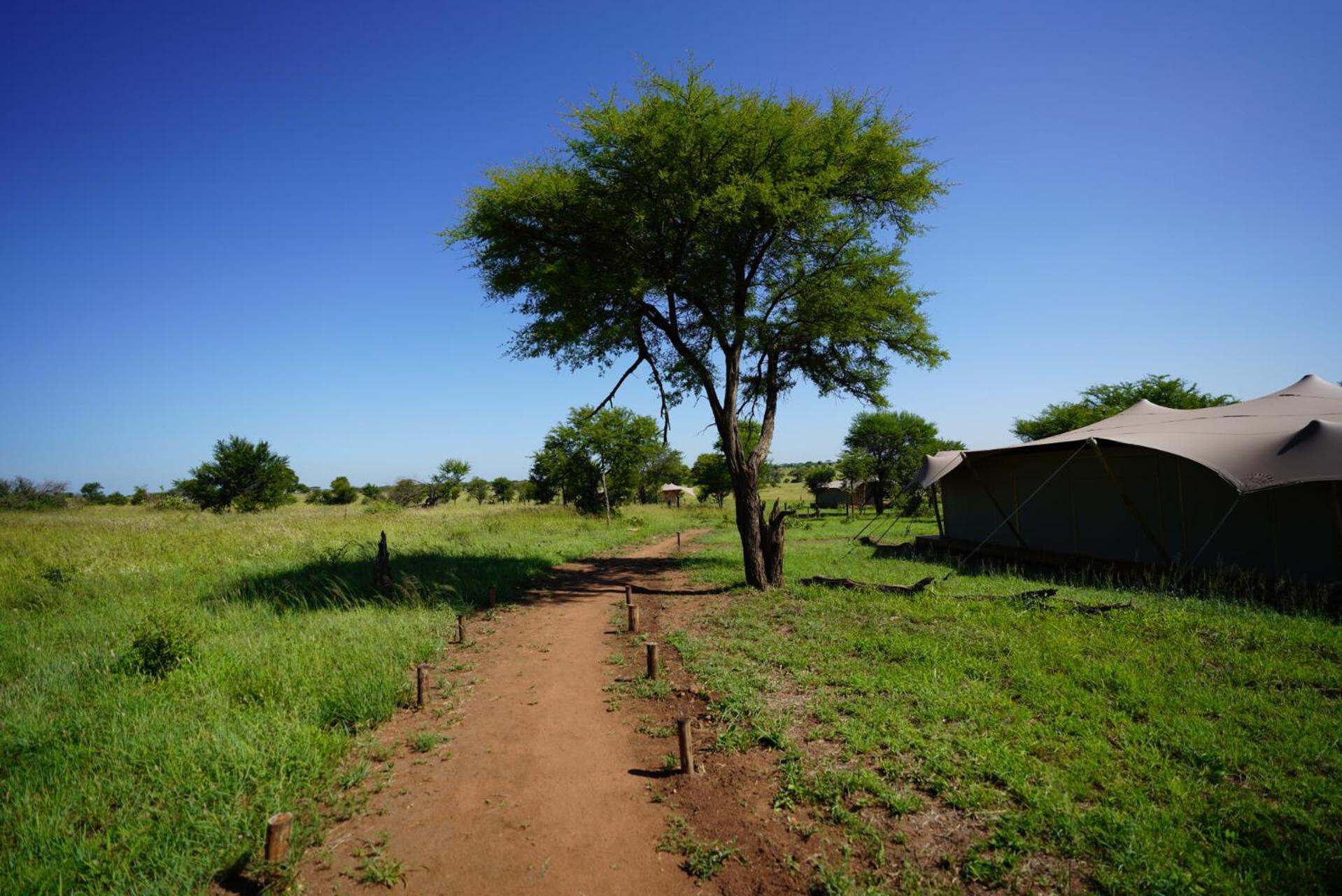 Anantya Serengeti Extérieur photo