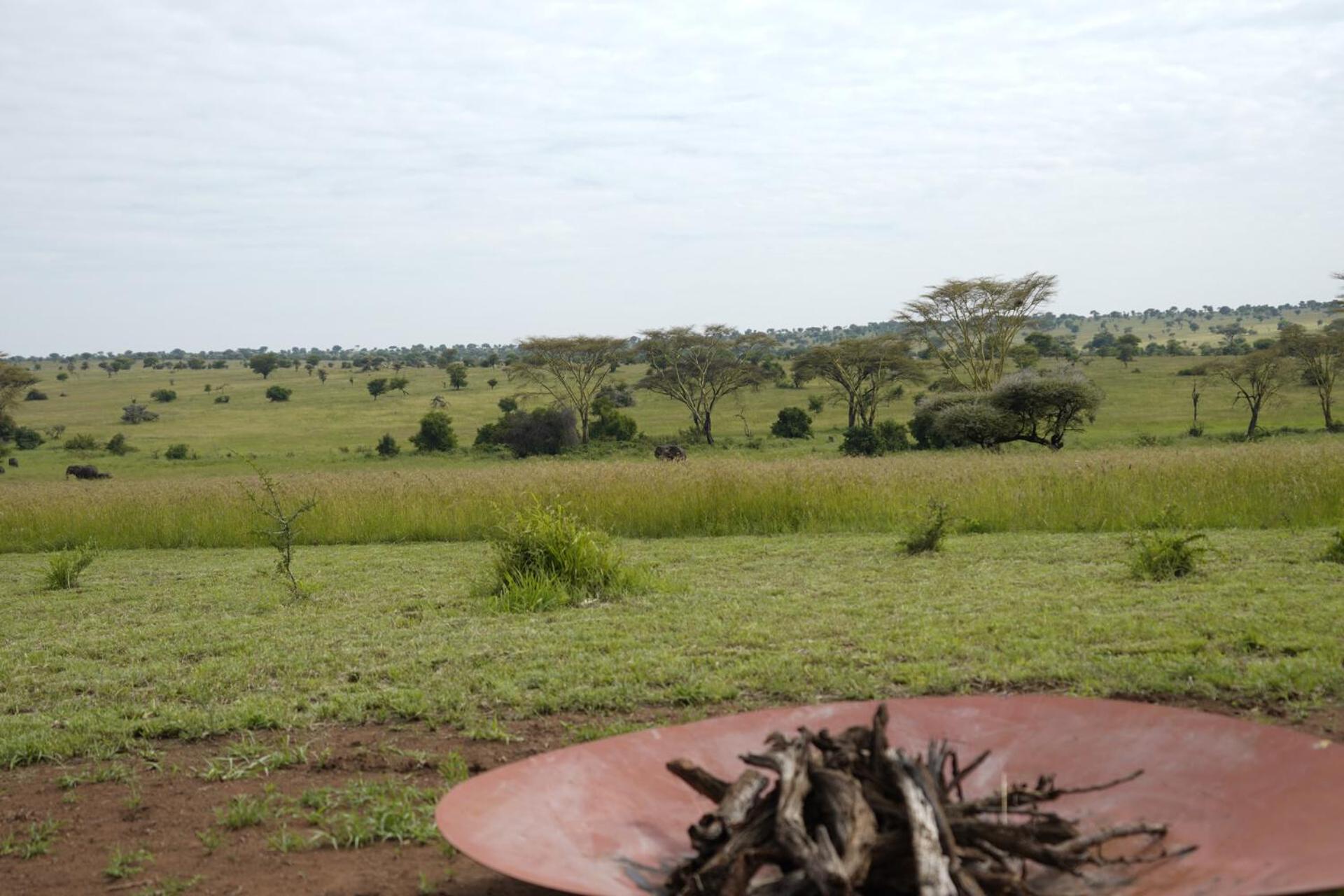 Anantya Serengeti Extérieur photo