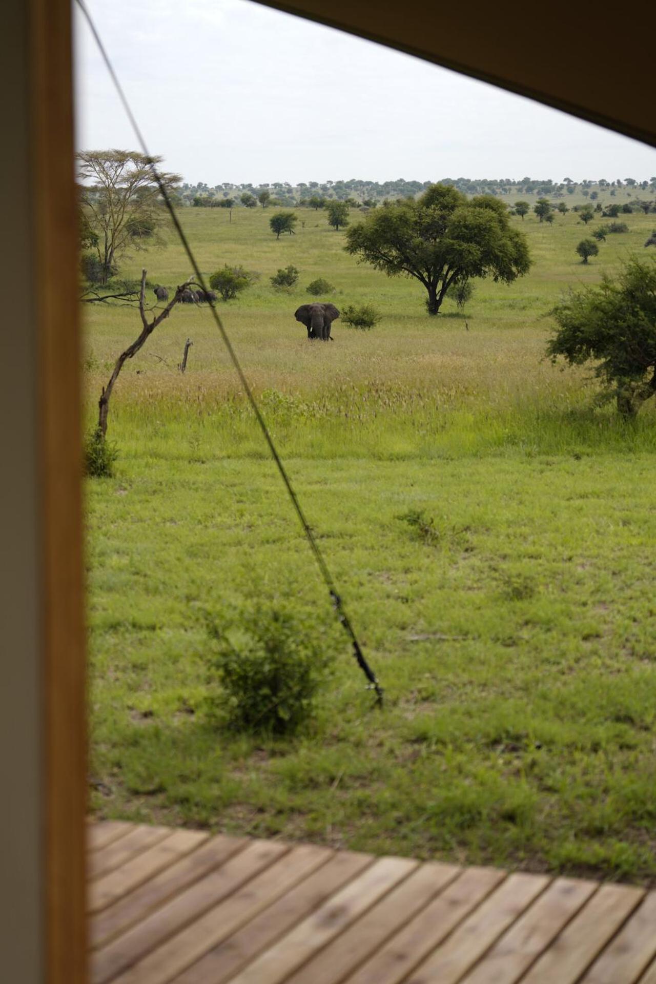 Anantya Serengeti Extérieur photo