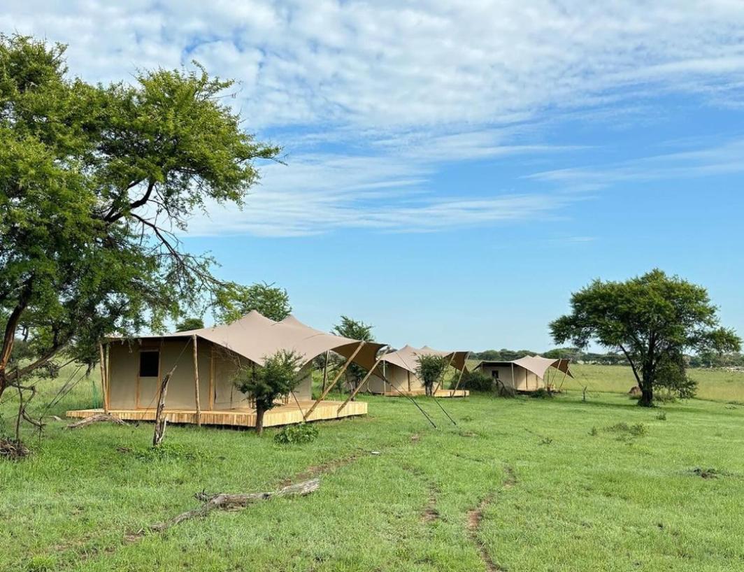 Anantya Serengeti Extérieur photo